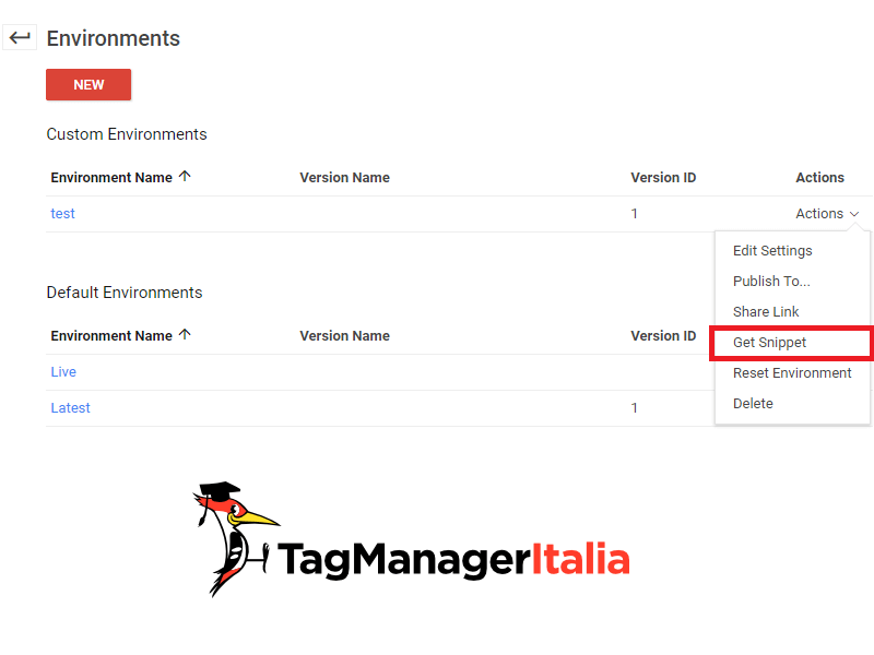 Glossario Ambienti (Environments) Google Tag Manager - view snippet gtm