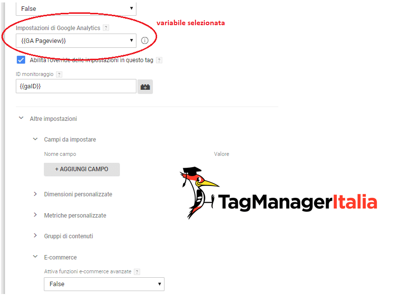 variabile impostazioni selezionata google tag manager