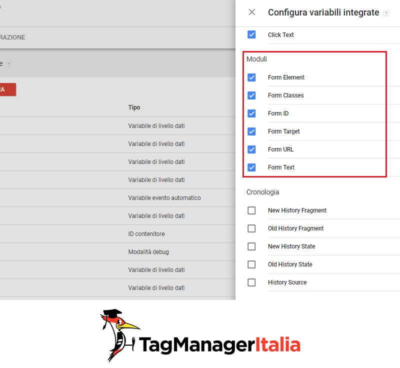 variabili integrate moduli con google tag manager