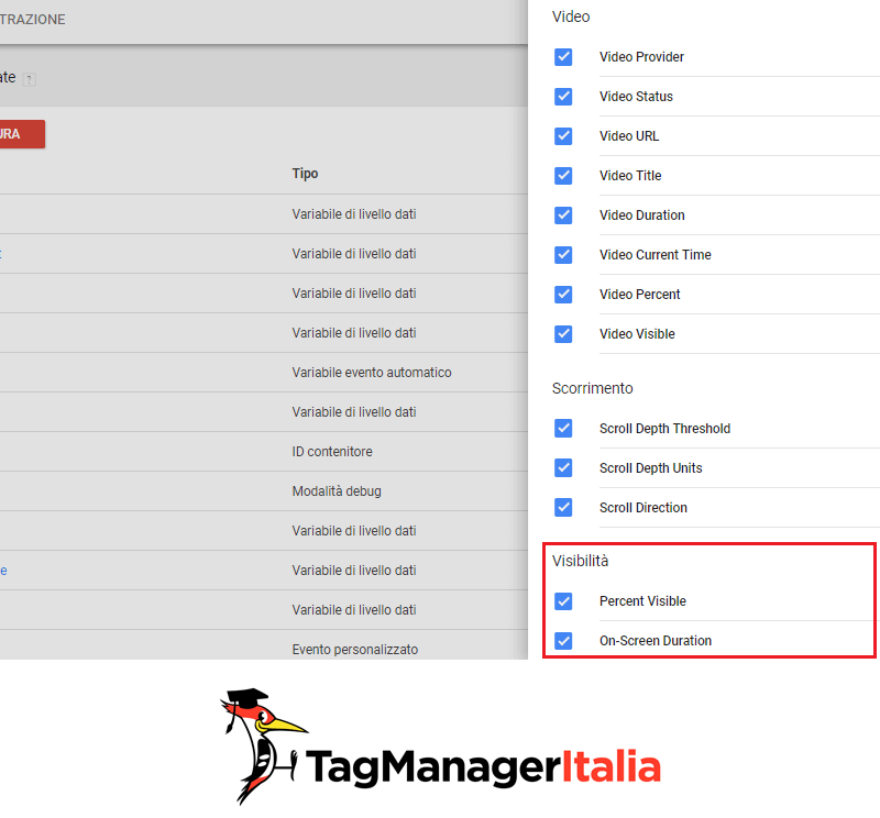 variabili integrate visibilità con google tag manager