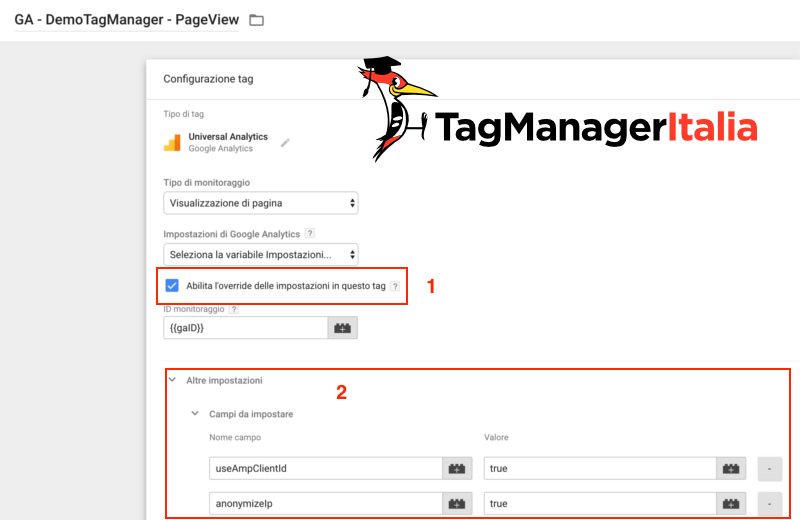 abilitare override anonymizeip google tag manager