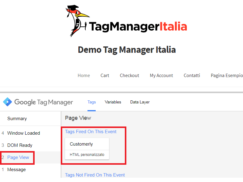 step2 verifica con il debug di GTM customerlySettings