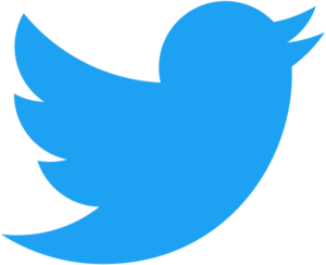 Twitter logo social network blue bird