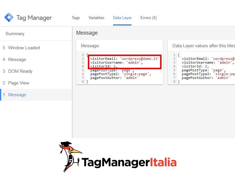 User info in datalayer console google tag manager