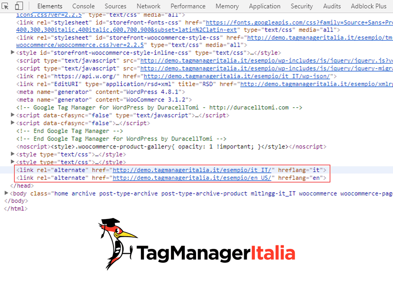 verifica implementare href lang google tag manager