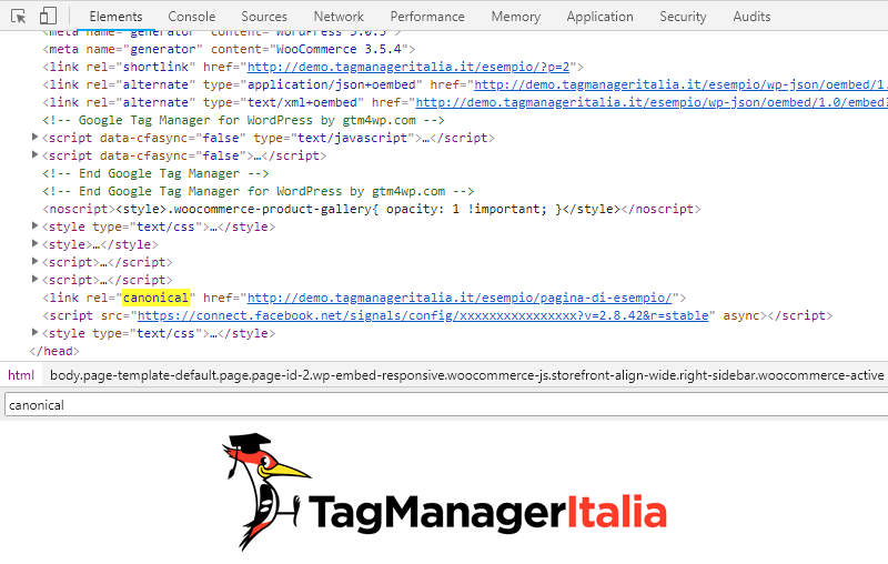 verifica tag rel canonical google tag manager