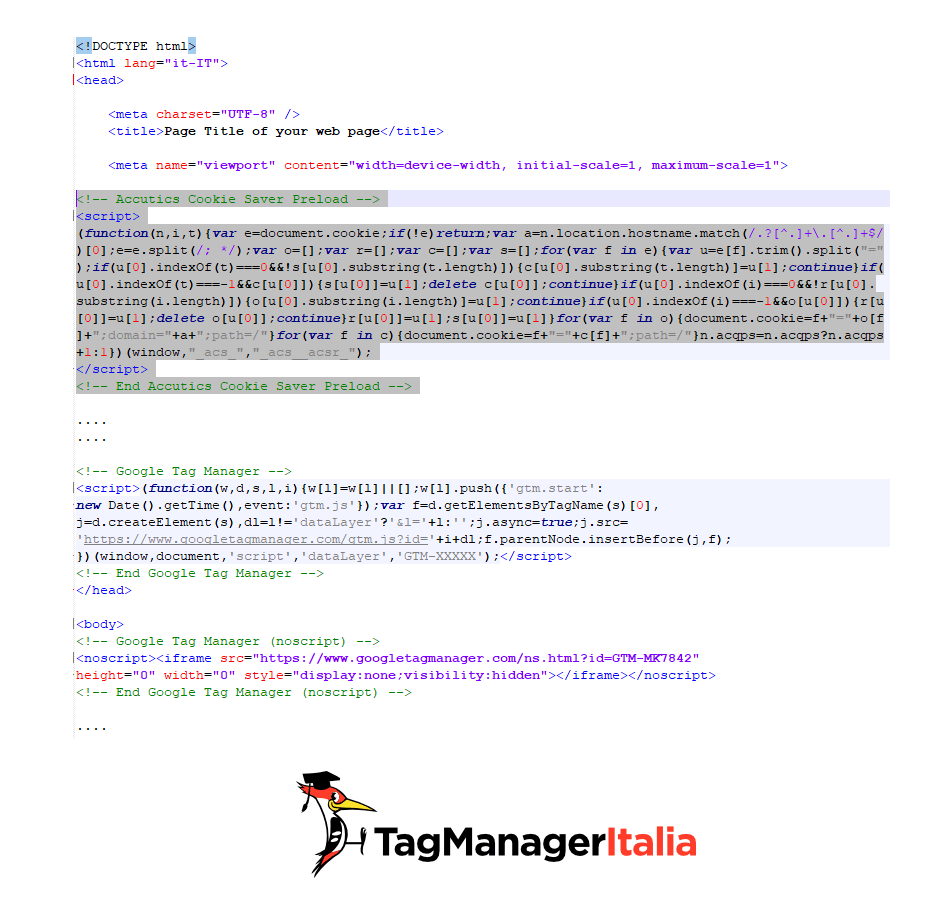 step 4 insert Cookie Saver Javascript in website