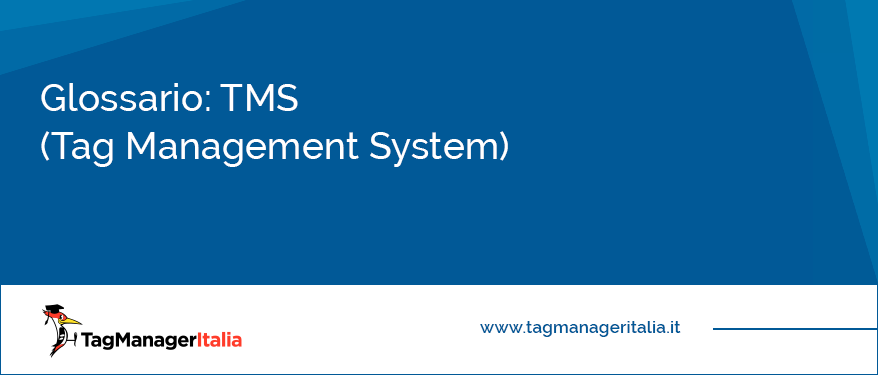 TMS (Tag Management System)