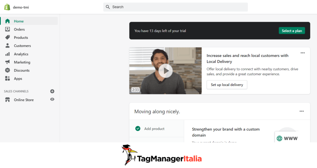 Dashboard Shopify Google Tag Manager