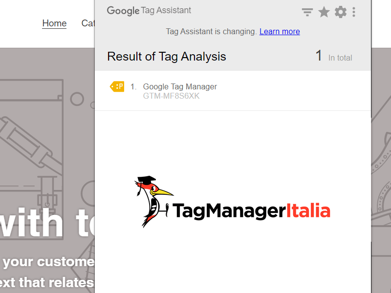 Google Tag Assistant errore Shopify Google Tag Manager