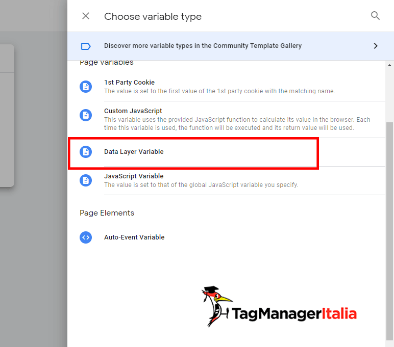 selezione variabile tipo Data Layer Variable