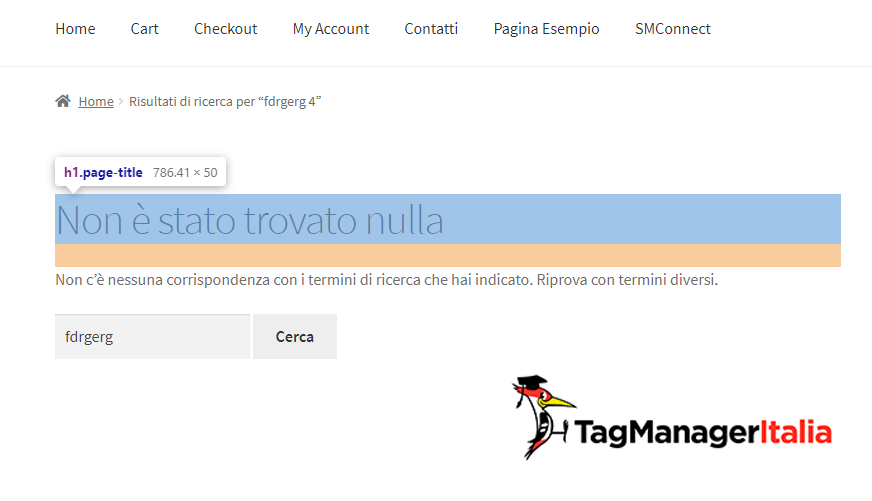 tracciare messaggio ricerca sito no risultati