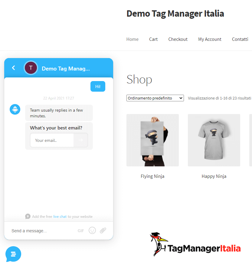verifica widget customerly google tag manager