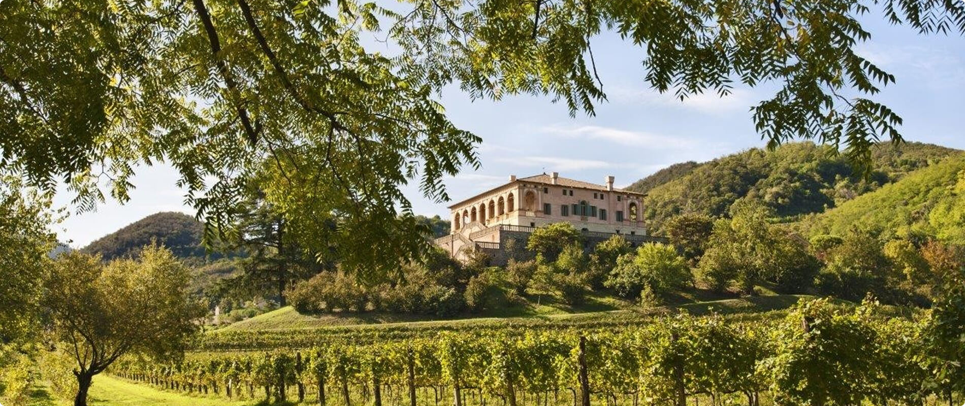 Villa storica circondata da giardini e vigneti.