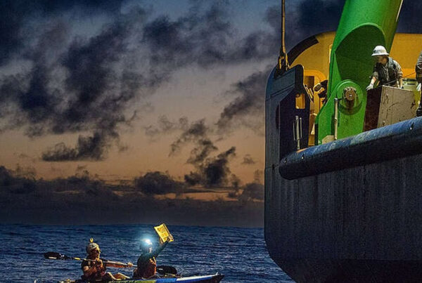 Imbarcazioni di Greenpeace in mare al tramonto.